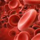 blood-cells